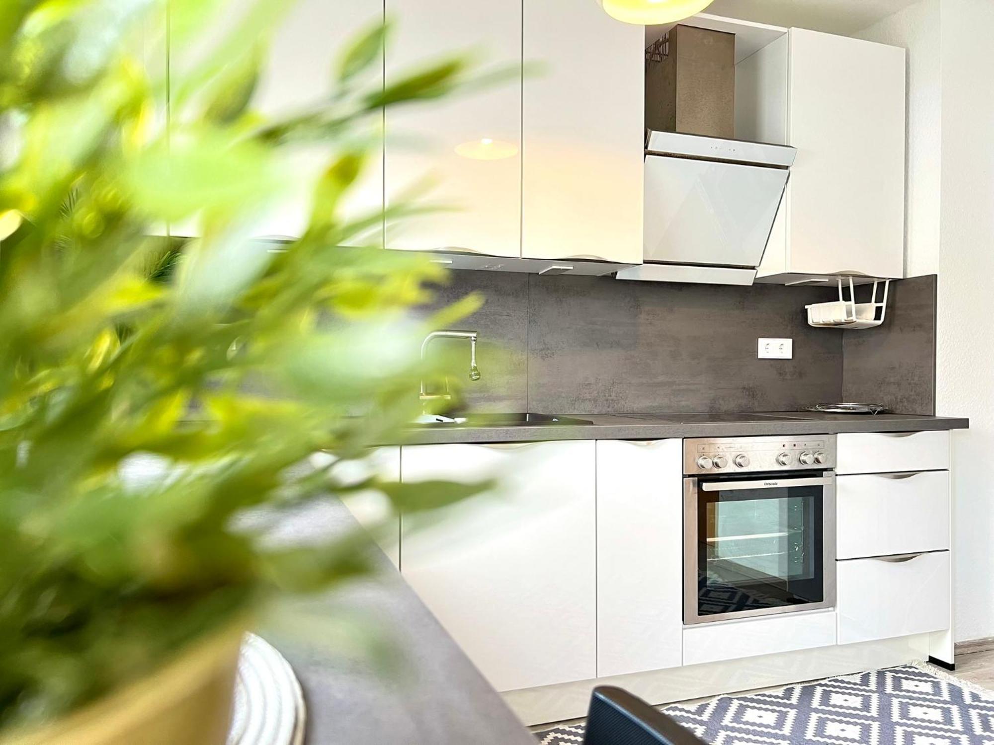 Comfy Apartment Mit Garten In Koeln Exterior foto